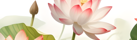 广东金辛医药生物科技有限公司官网/今日，夏至